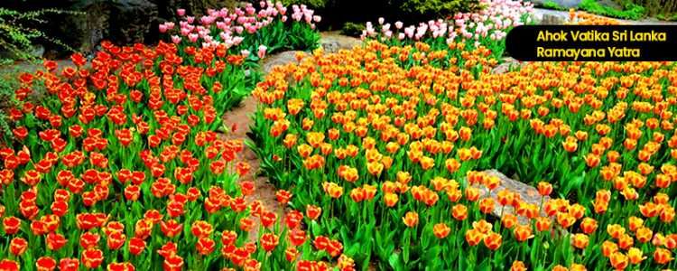 Hakgala Botanical Gardens Image