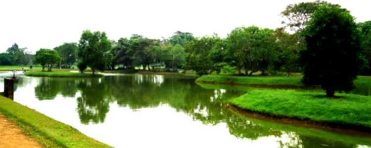 Gampaha Henarathgoda Botanical Gardens Image
