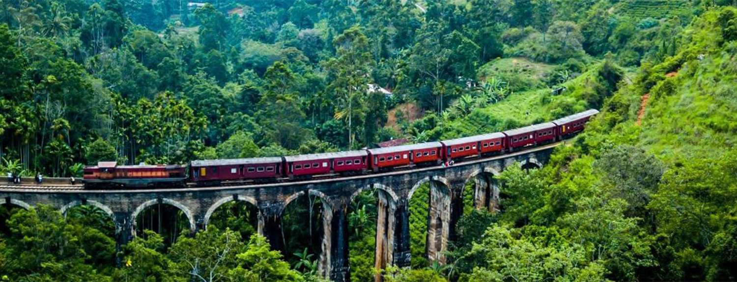 Ella Odyssey Train Booking Sri Lanka (New Update) Cover Image