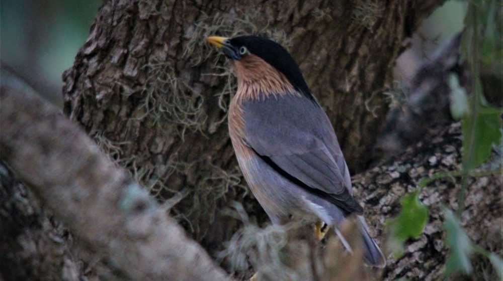 Adam's Bridge Marine National Park