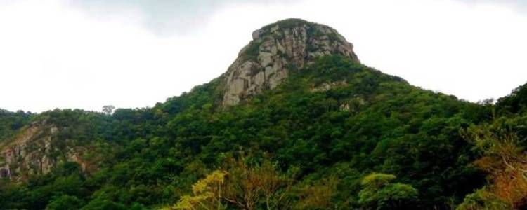 Ritigala Strict Nature Reserve Image