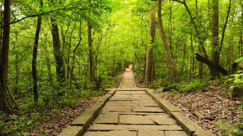 Ritigala Strict Nature Reserve Image