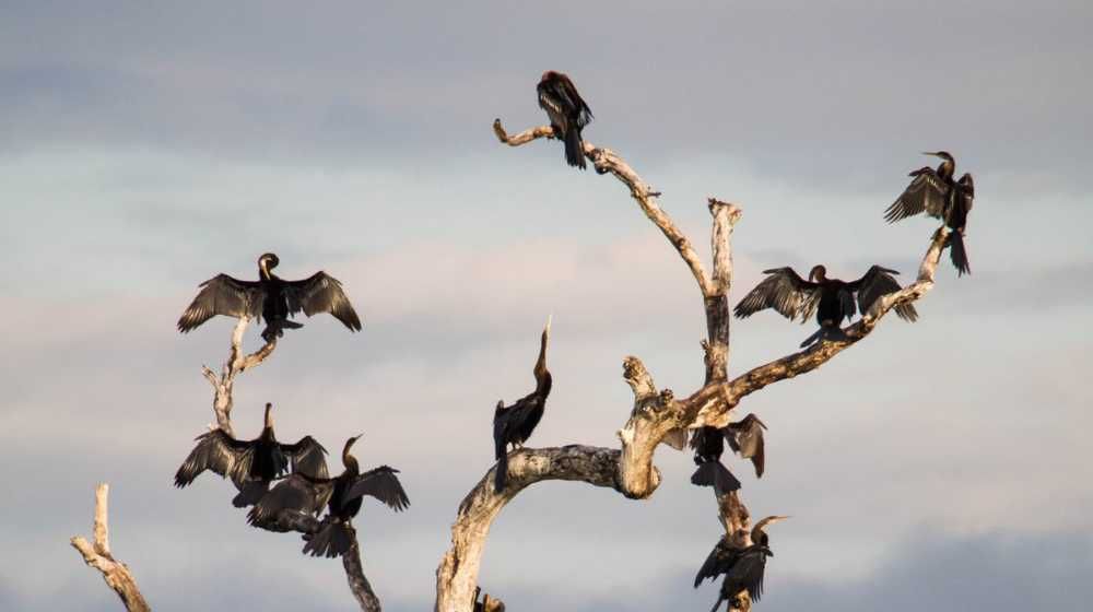 Chundikulam National Park
