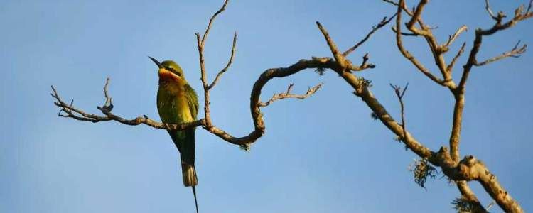 Chundikulam National Park Image