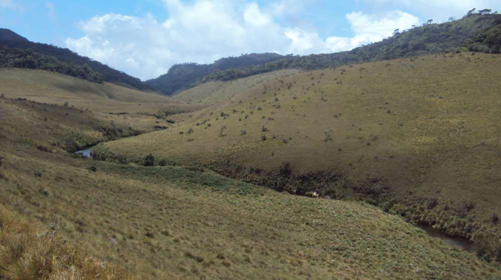 Horton Plains National Park