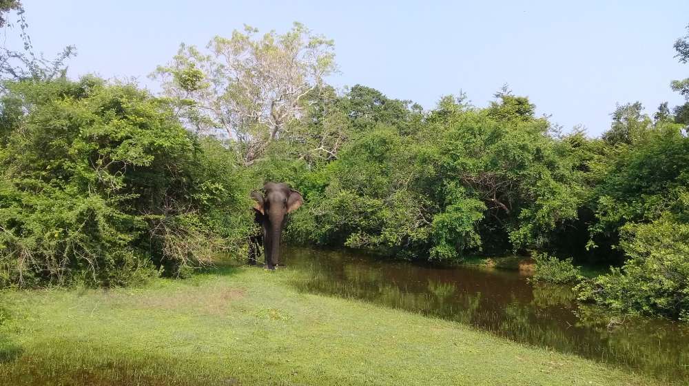 Madhu Road National Park