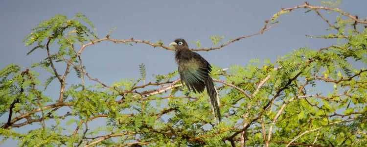 Madhu Road National Park Image