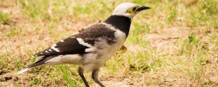 Madhu Road National Park Image