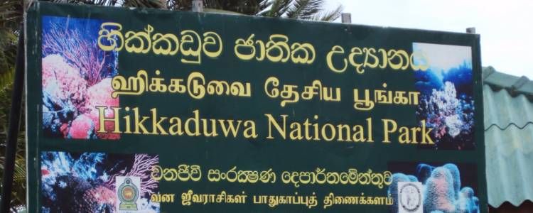 Hikkaduwa Marine National Park Image
