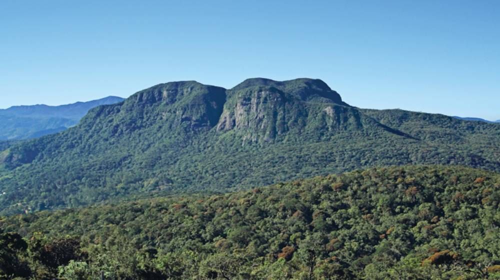 Hakgala Strict Nature Reserve