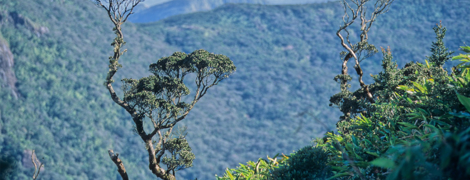 New Entrance gate for Horton Plains National Park Cover Image