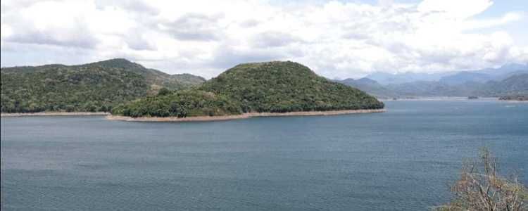 Minneriya National Park Image